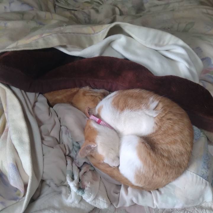 6dfa95d6 875f 4f55 bd4d e534baa68516 1743201451659