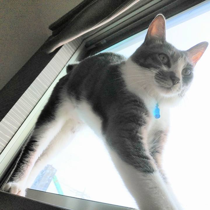 6dfabc2f ffa9 400c a4a3 cc42f1eacf4c 1593729462579