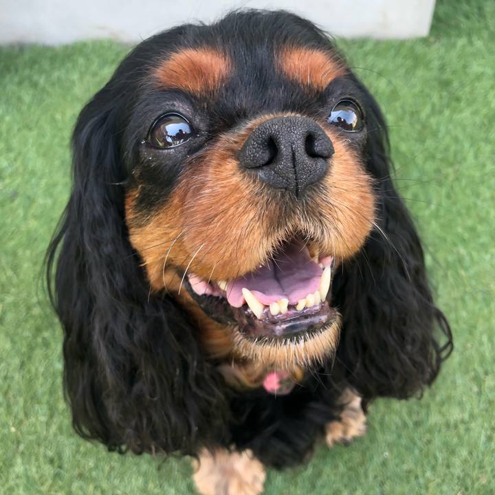 6dfadead c3aa 4600 a5c6 1d97f012db3b 1532089688153