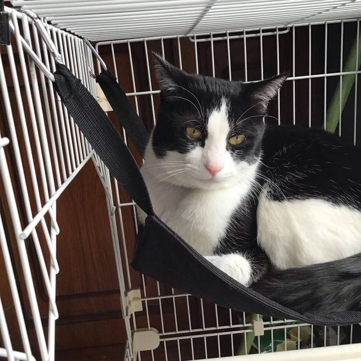 6dfae312 e380 4b8d 8229 50cda58dc1ff 1678004696447