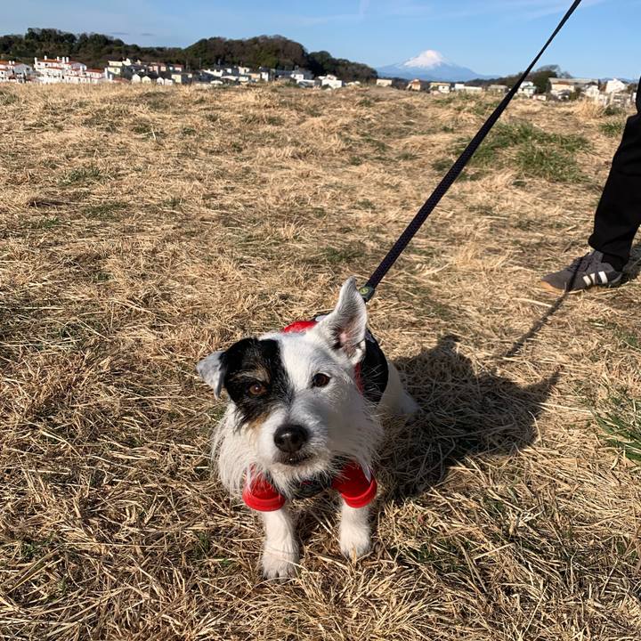 6dfaf98f d33c 4bbb a21e 3a2309d72888 1740269168251