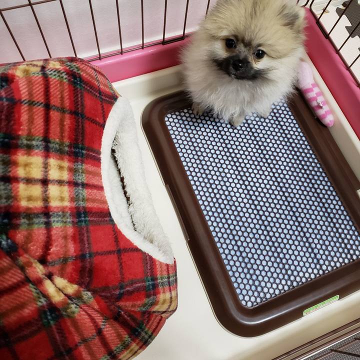 6dfb2f69 0d06 45cf b39c 43bba9179a70 1702802201620