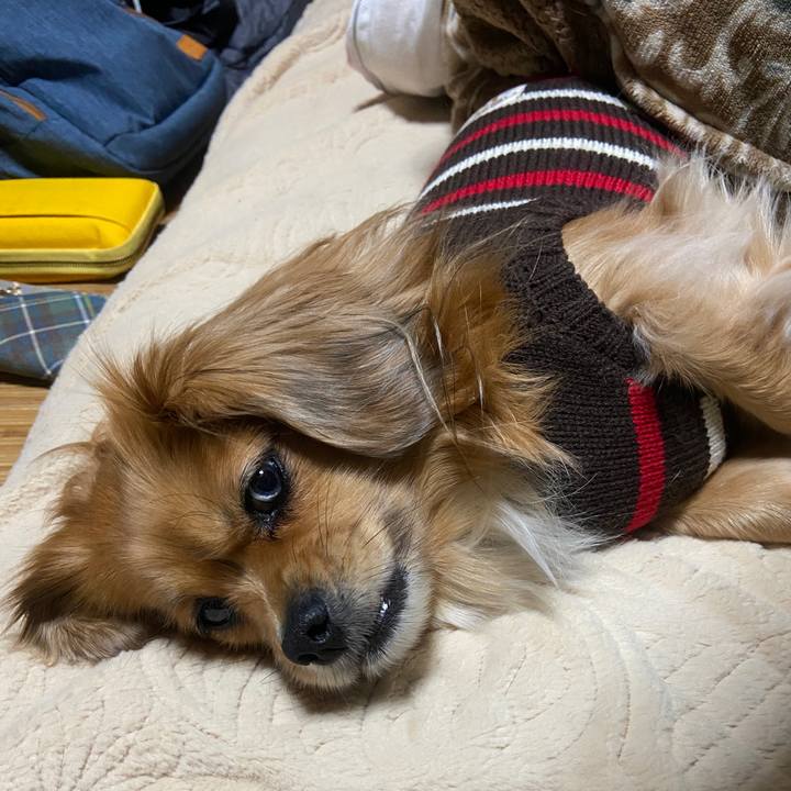 6dfb54a2 3af1 4048 a637 89f1fbcf4ad6 1672007727596