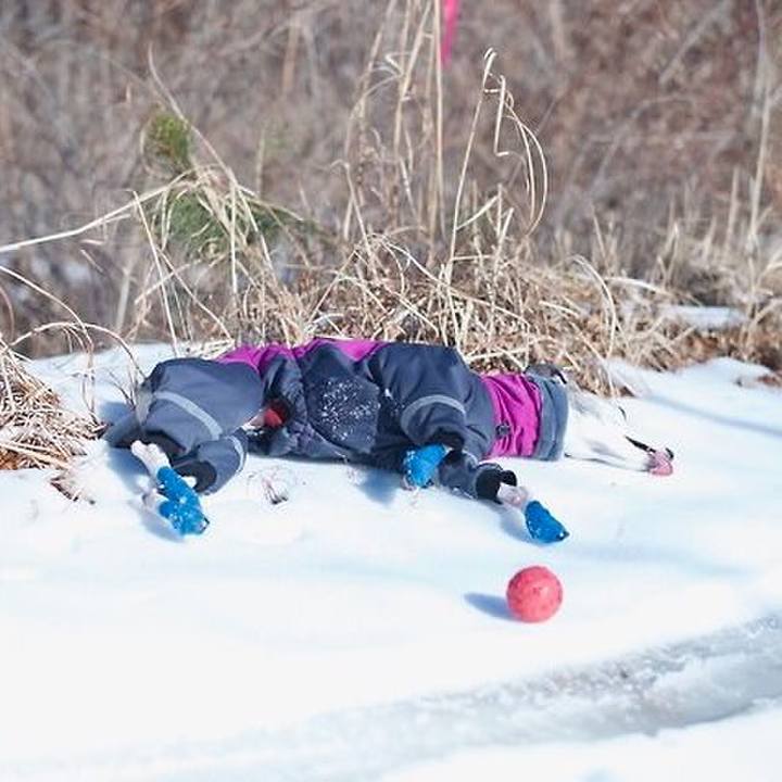 6dfb598a 127c 4e4a 9a98 f317b94f7659 1520508850082