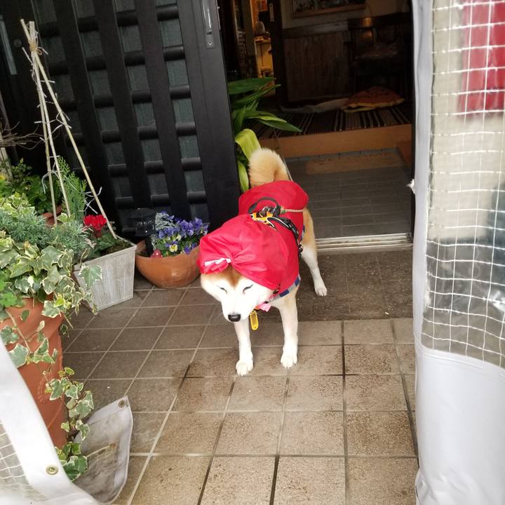 6dfb6d61 e215 4198 8d7e 0ee3bd1bfebe 1638850166883