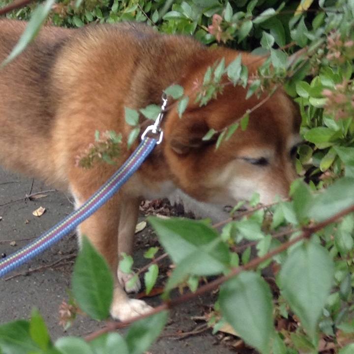 6dfb7efe 984b 4943 9c42 3c218412d1d4 1571108905162