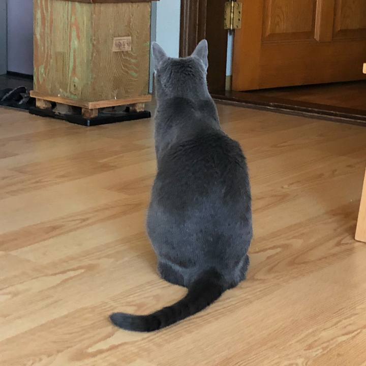 6dfb7fb6 6ac9 41be aee5 50e98076c261 1570153001495