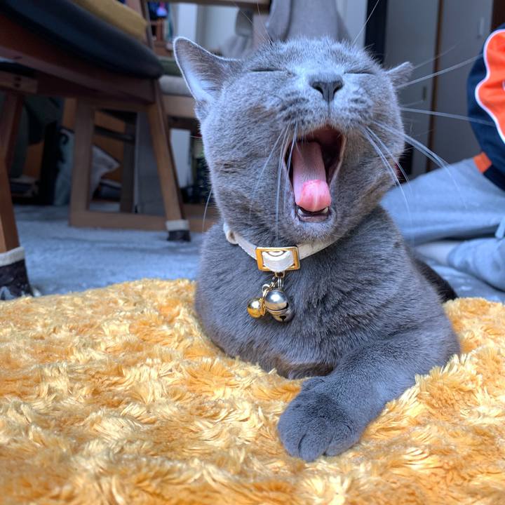 6dfb8ab7 05c0 45b5 9a01 2eaf515fb752 1647669455876