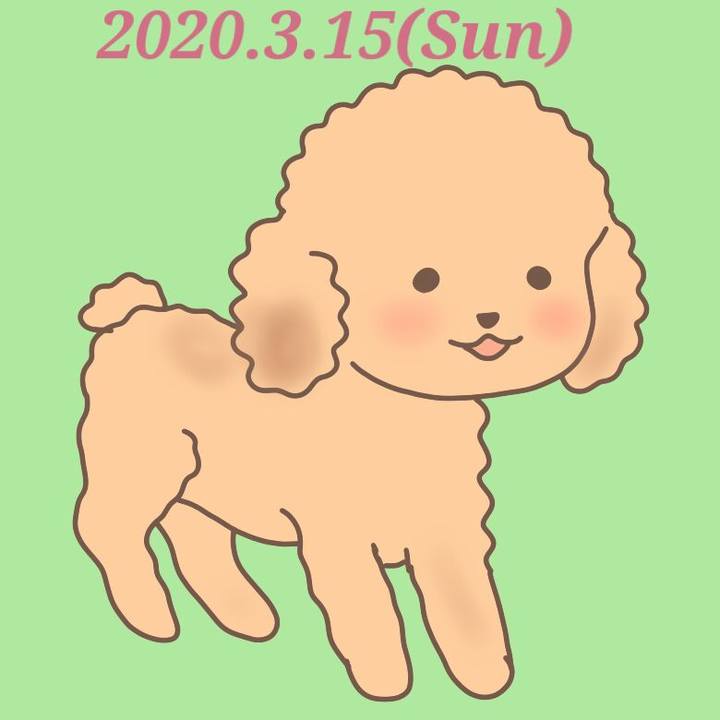 6dfb8ca3 f970 4dba a464 7e7abada40d1 1584282649067