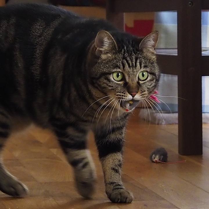 6dfb9f59 5190 4fd1 a8de b444e7e7aef6 1616829769014