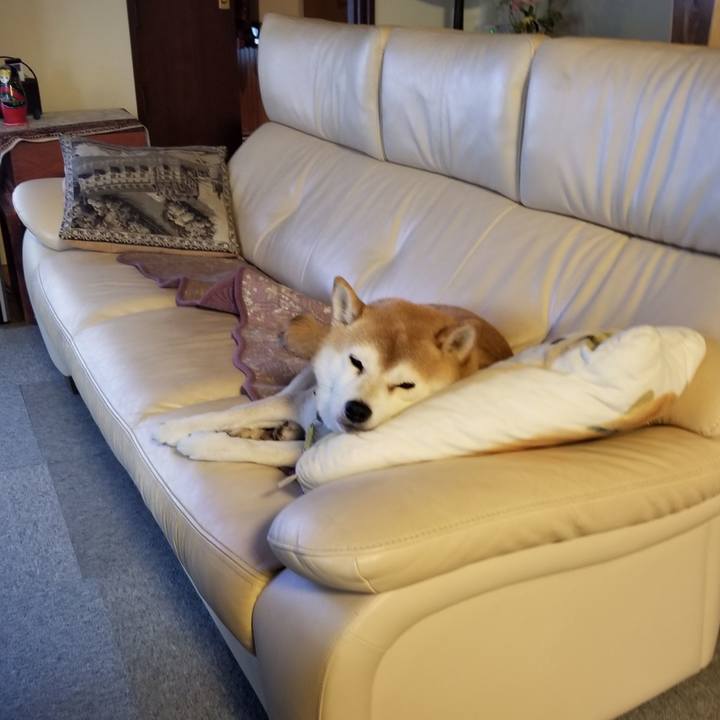 6dfbc749 4579 4f22 8a18 3fb3f18b17b7 1639178496591