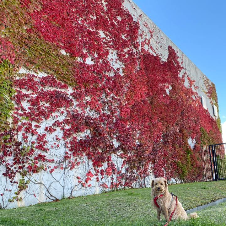 6dfc0c23 def1 48a1 9f08 a3505ac12c28 1665221757211