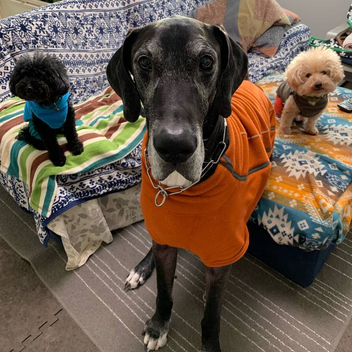 6dfc105e c9e6 41ff bce5 06ea8538770f 1580943008551