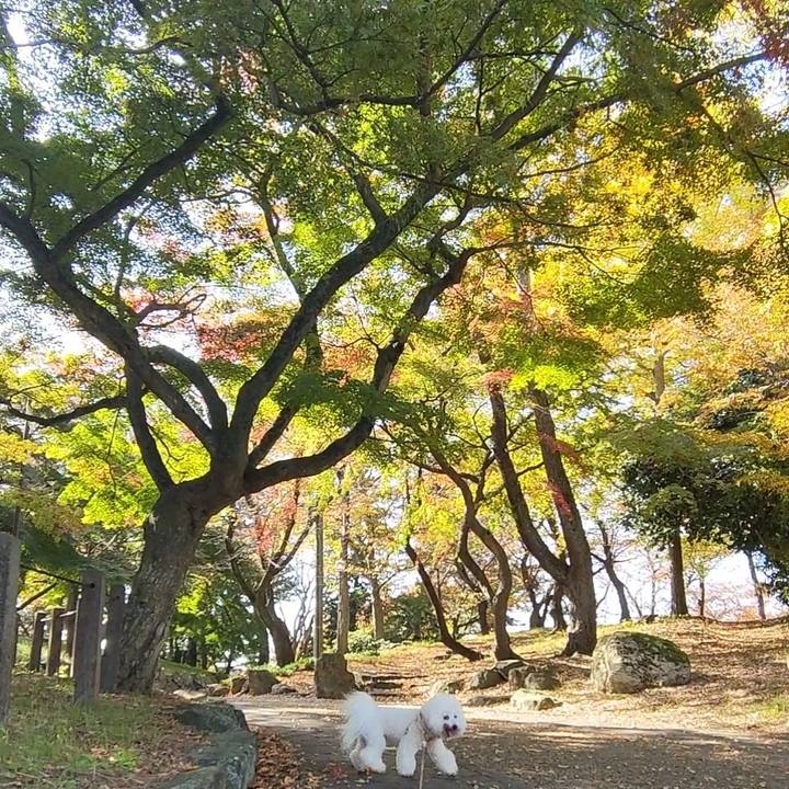 6dfc42ed daa1 4d9f a7a3 f27b8a6f08a7 1763372190338