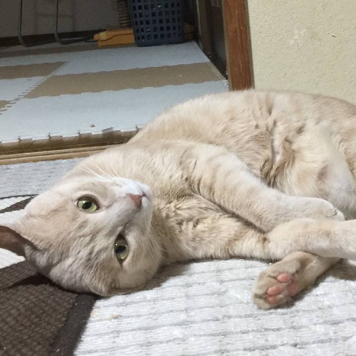 6dfc7e2f ebe7 4f38 9f32 4c8f9943f3ff 1517893654173