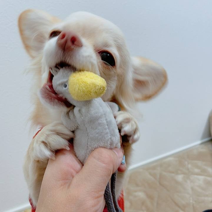 6dfc7ee2 2afc 46b2 865f 70740381534f 1609559530308