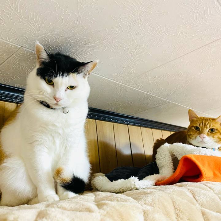 6dfc8f19 0ad3 4188 981c a403a59cfe6e 1670018839093