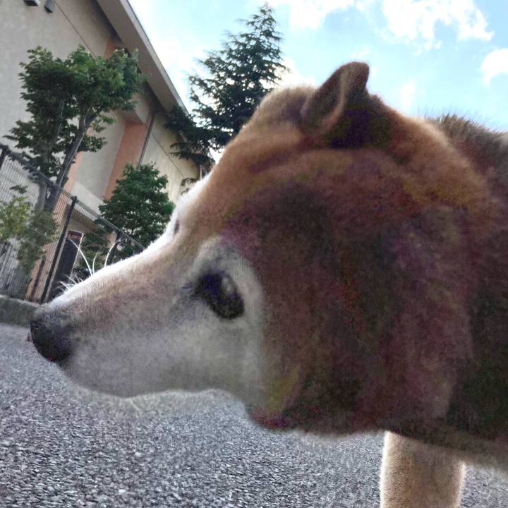 6dfce097 948c 45e3 beca 686f88252ca4 1717229990227