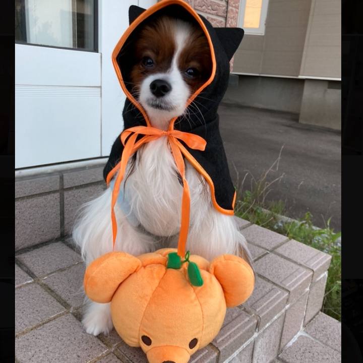 6dfcf85e f245 41a4 8fda 7e27d8d8722c 1664966173207