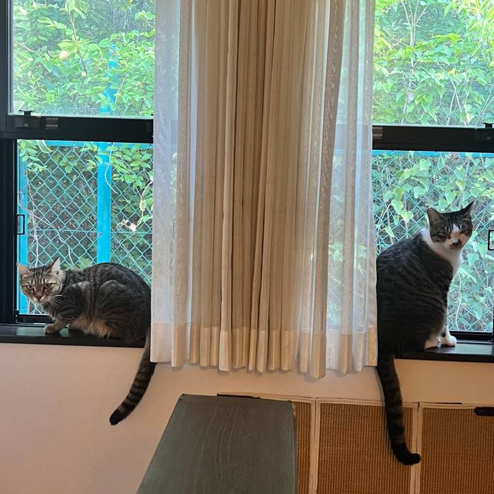 6dfd12d0 8aec 4f2e 9c22 fabac7abe80d 1760014998682