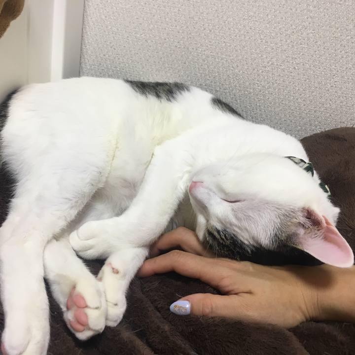 6dfd3d81 c00d 4165 a077 4617fc8cda7a 1515249803731