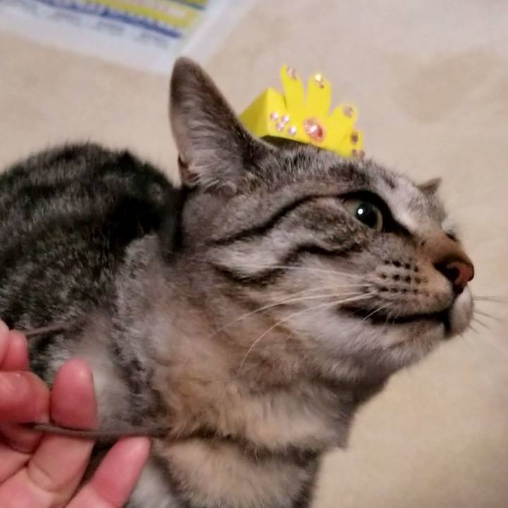 6dfd552c c8a9 412d aa9b 2b7d0ecf92e6 1677884790302