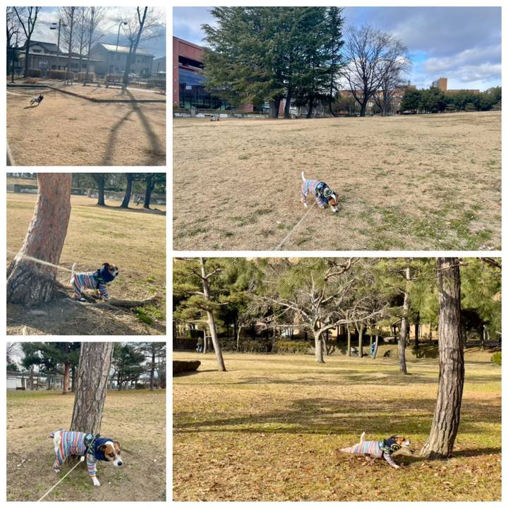 6dfd6b62 42ac 48d4 ba8b c773ed92abfa 1738309798900