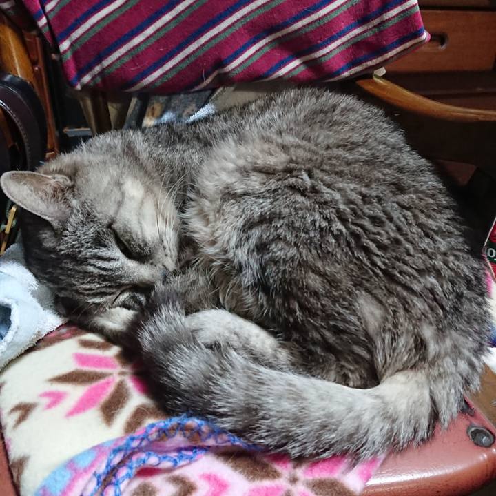 6dfdac17 b9b4 40b8 98e8 7e99eebfb0cc 1573212263807