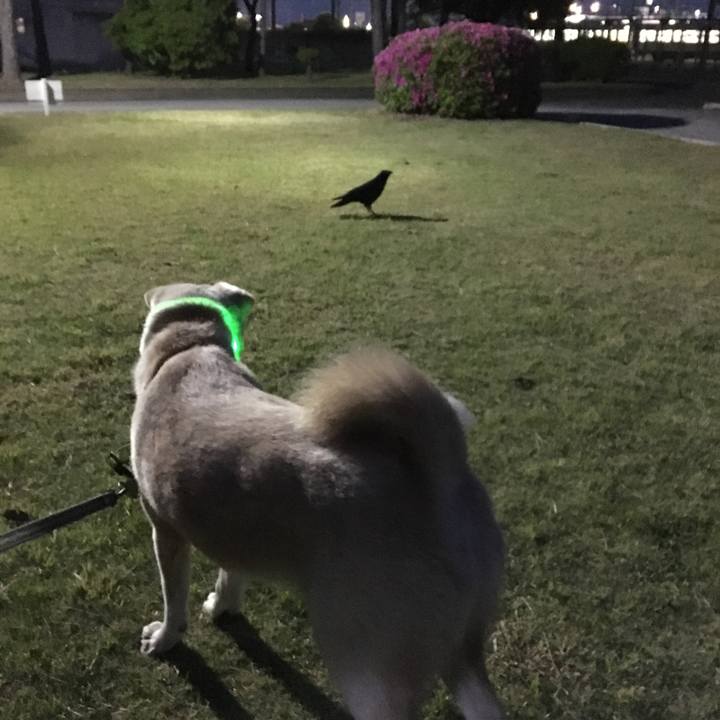 6dfdb20b c7de 46c7 9286 913cba945ae8 1524826431748