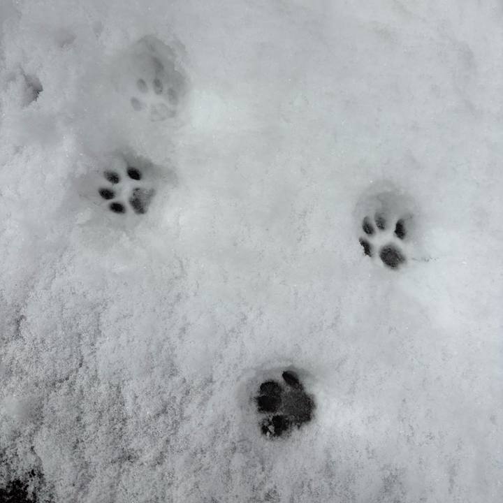 6dfdf05e 6f6b 4ea6 be2b a9cbc5e989c6 1770525809885