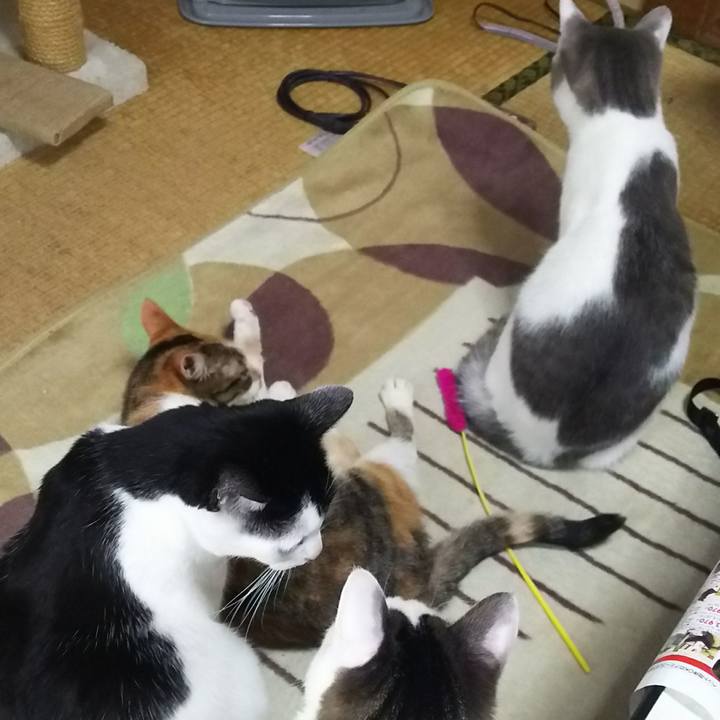 6dfdf893 4356 42e6 b214 055f145a7cd6 1511076401778