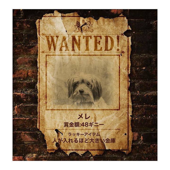 6dfe07a7 a70f 4cf7 aa7c 7d8897b1965f 1560062834656