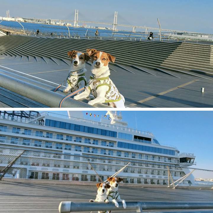 6dfea7ea 9adc 4ccc a81e bd4ec8a12a1f 1768728346359