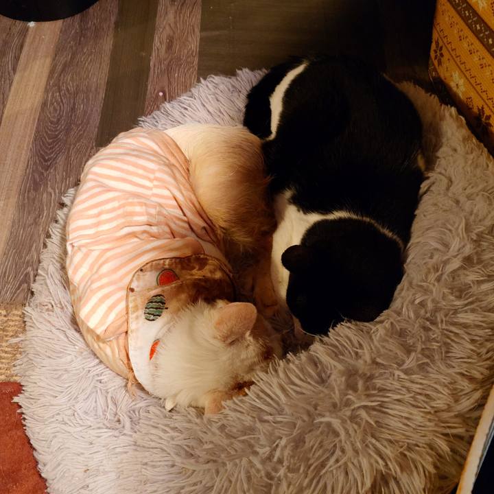 6dfeb927 963c 4165 931f 66e015a246d4 1769597887935