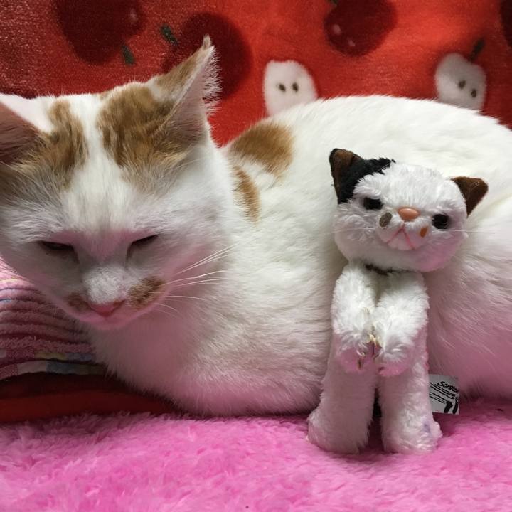 6dfed0f1 14ef 40a3 aab1 10b8946763f1 1513522900293