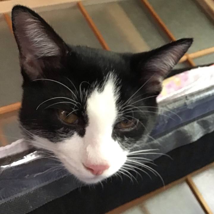 6dff66bb afcc 4a56 a9a8 ab4178d9ae85 1632391177311