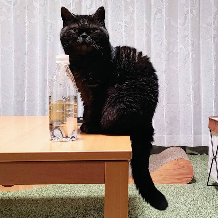 6dff6cce 1eb0 450b 8e52 23e08f178e0e 1643450110828