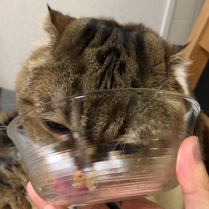 6dff6f43 078b 4d4e a5e5 06ca5ff246b6 1537581155712