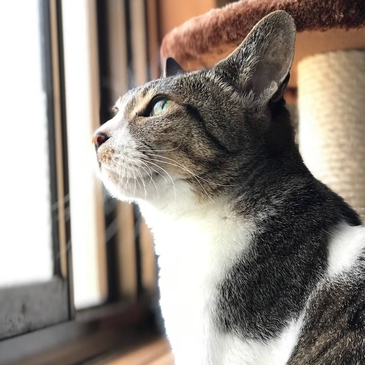 6dff6f82 4f72 4fe8 91b0 e2a5c16d4e22 1527126558209