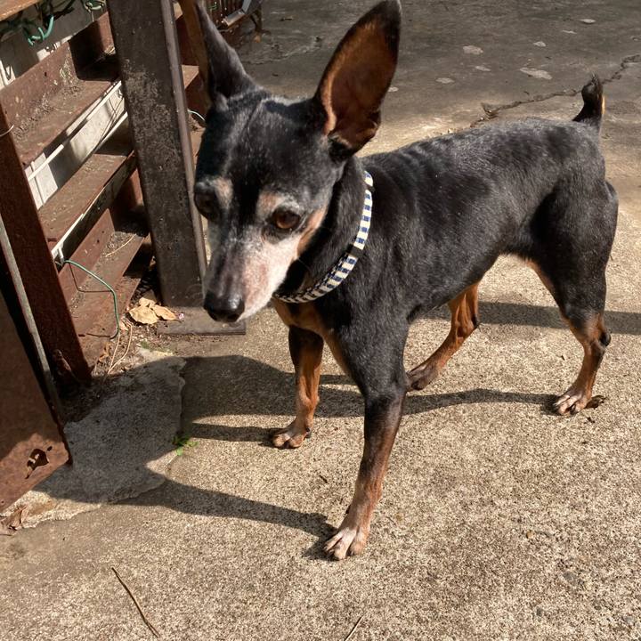 6dffa314 d0bc 476a 868a 4f48efe61158 1683887370840