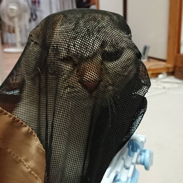 6dffc020 5697 45d6 a2ab c5ef3954fe23 1566641943898