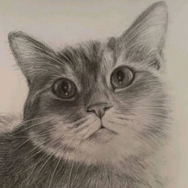 6dffdc53 d824 49ab 9d98 b24a6db3f8e0 1535616575410