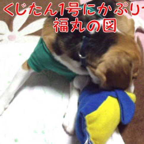 6dffeea8 ad8b 47d9 8092 588b7dca3362 1711328768001