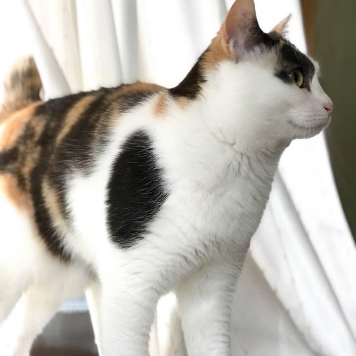 6e00079a 6346 4ab8 b0f0 aa3bc17ca90f 1528339697090