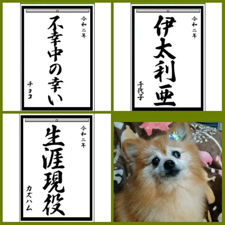 6e006e1c ca4b 4200 a957 4cf1fb383034 1578007977092