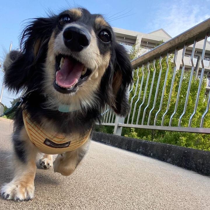 6e009d71 55ff 45d3 9952 fc7df09ccf3d 1722816799928