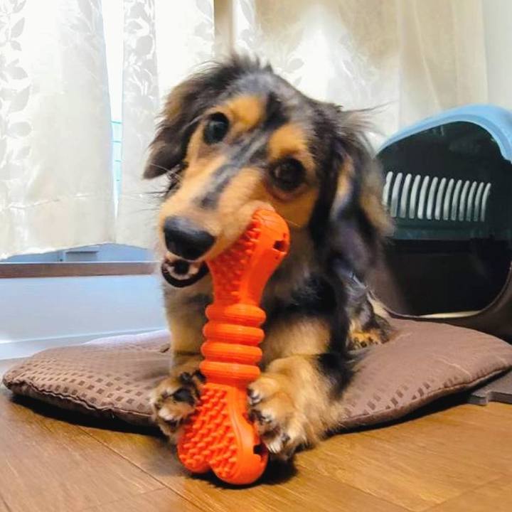 6e00b67c 544f 4144 a189 b4c20d63492e 1719483597914