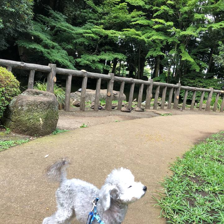 6e00b756 ca46 4a2f ab41 281608add5f8 1624493859704