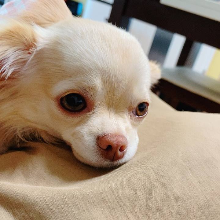 6e0152d7 896a 4a68 b645 f02652115810 1618025835763