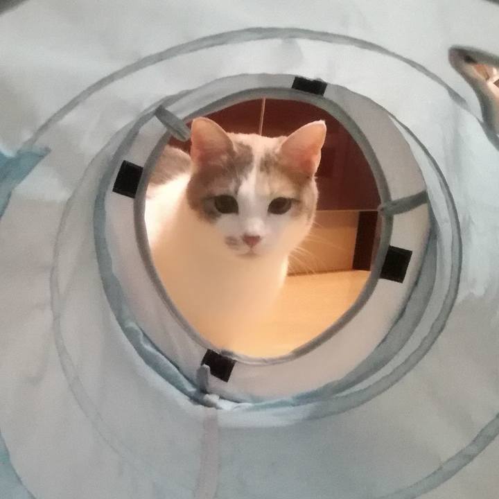 6e015efa e2f5 46c8 bc25 2dc68c9d2586 1517365712906